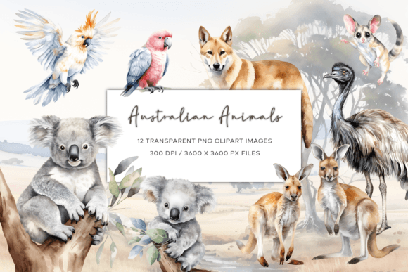 Download Australian Watercolor Animals Clipart - Premium Resources